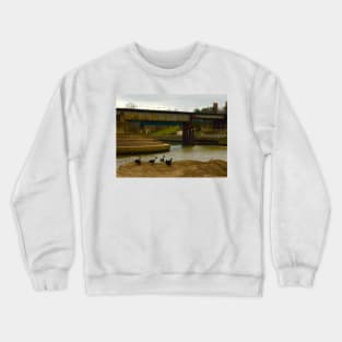 All Duckies in a Row a Buffalo Bayou Crewneck Sweatshirt